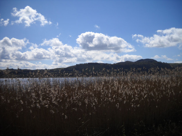 Riserva naturale speciale Lago di Pergusa1