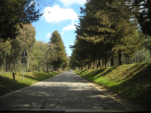 Riserva naturale speciale Lago di Pergusa3